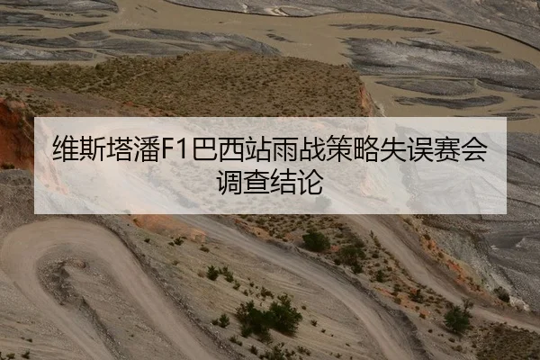 维斯塔潘F1巴西站雨战策略失误赛会调查结论