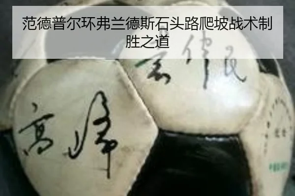 fan-de-pu-er-huan-fu-lan-de-si-shi-tou-lu-pa-po-zhan-shu-zhi-sheng-zhi-dao-3-352.jpg