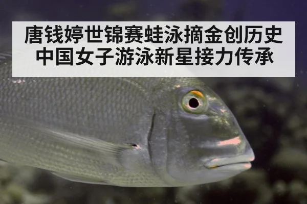 唐钱婷世锦赛蛙泳摘金创历史 中国女子游泳新星接力传承